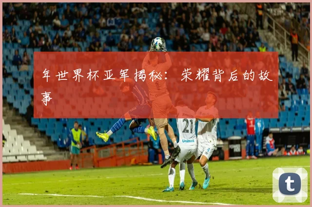年世界杯亚军揭秘：荣耀背后的故事